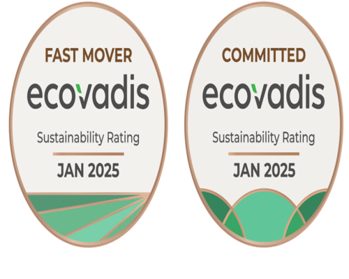 TIÊU CHUẨN ECOVADIS, THƯỚC ĐO HỆ THỐNG PHÁT TRIỂN BỀN VỮNG CỦA DOANH NGHIỆP